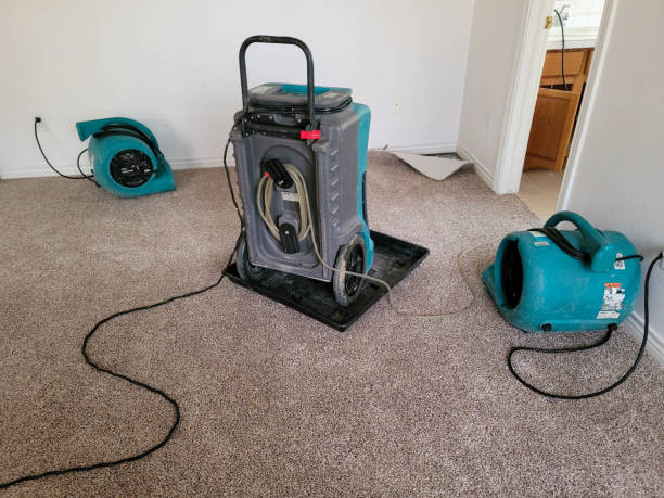 Best Water damage contractors near me  in Blackfoot, ID
