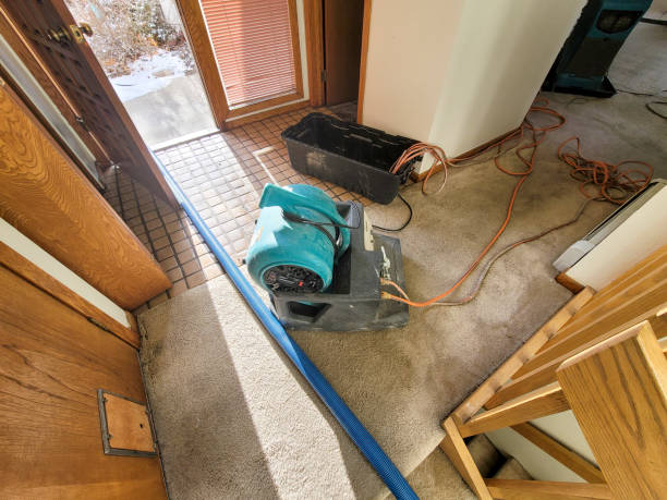 Best Flood restoration services  in Blackfoot, ID