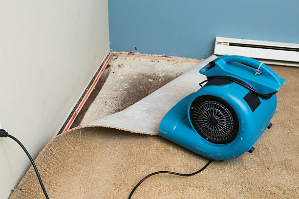 24/7 water damage repair in ID